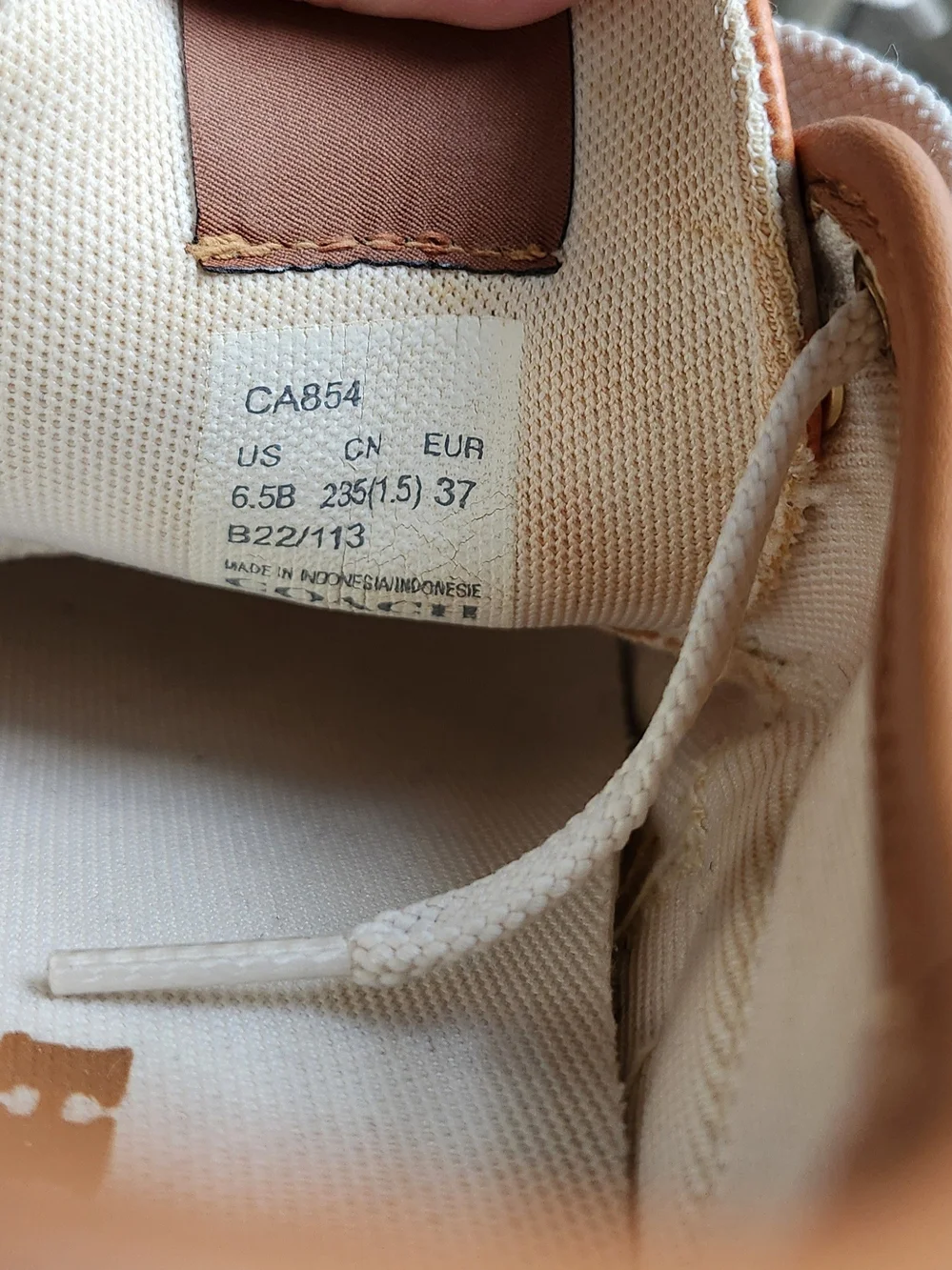 COACH Signature Multicolor Canvas Sneakers
